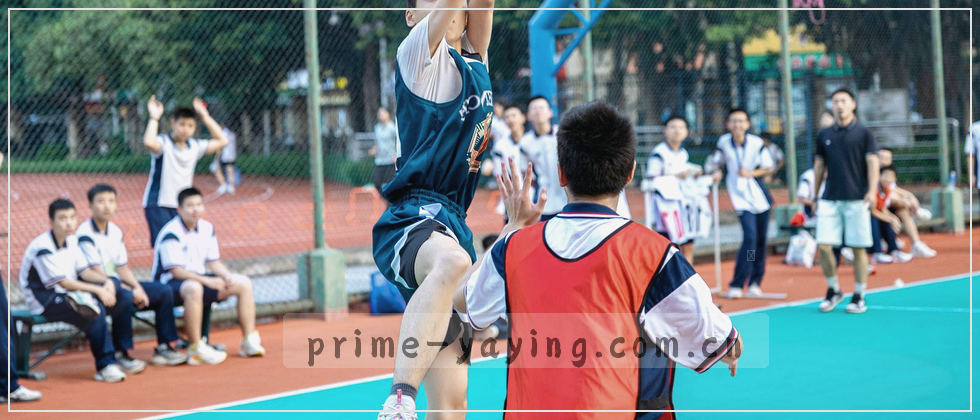 隐私政策的封面图：数据安全守护你的每一行代码。